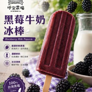 2026藍莓優格冰棒