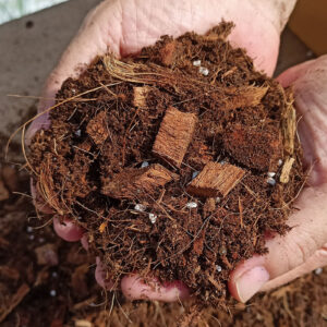 藍莓專用種植土/介質（黑莓、覆盆莓適用）專業代工廠預拌