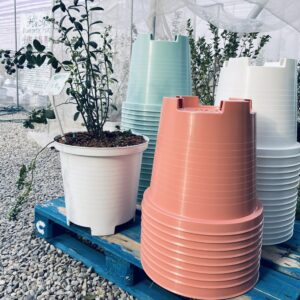 藍莓專用花盆(5入/10入)