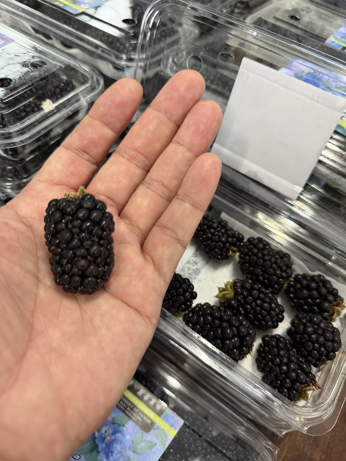 呼密藍莓農場|台灣新鮮黑莓冷凍包裝(新上市):圖片 13