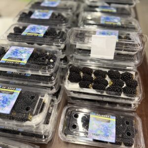 呼密藍莓農場｜台灣新鮮黑莓冷凍包裝(新上市)