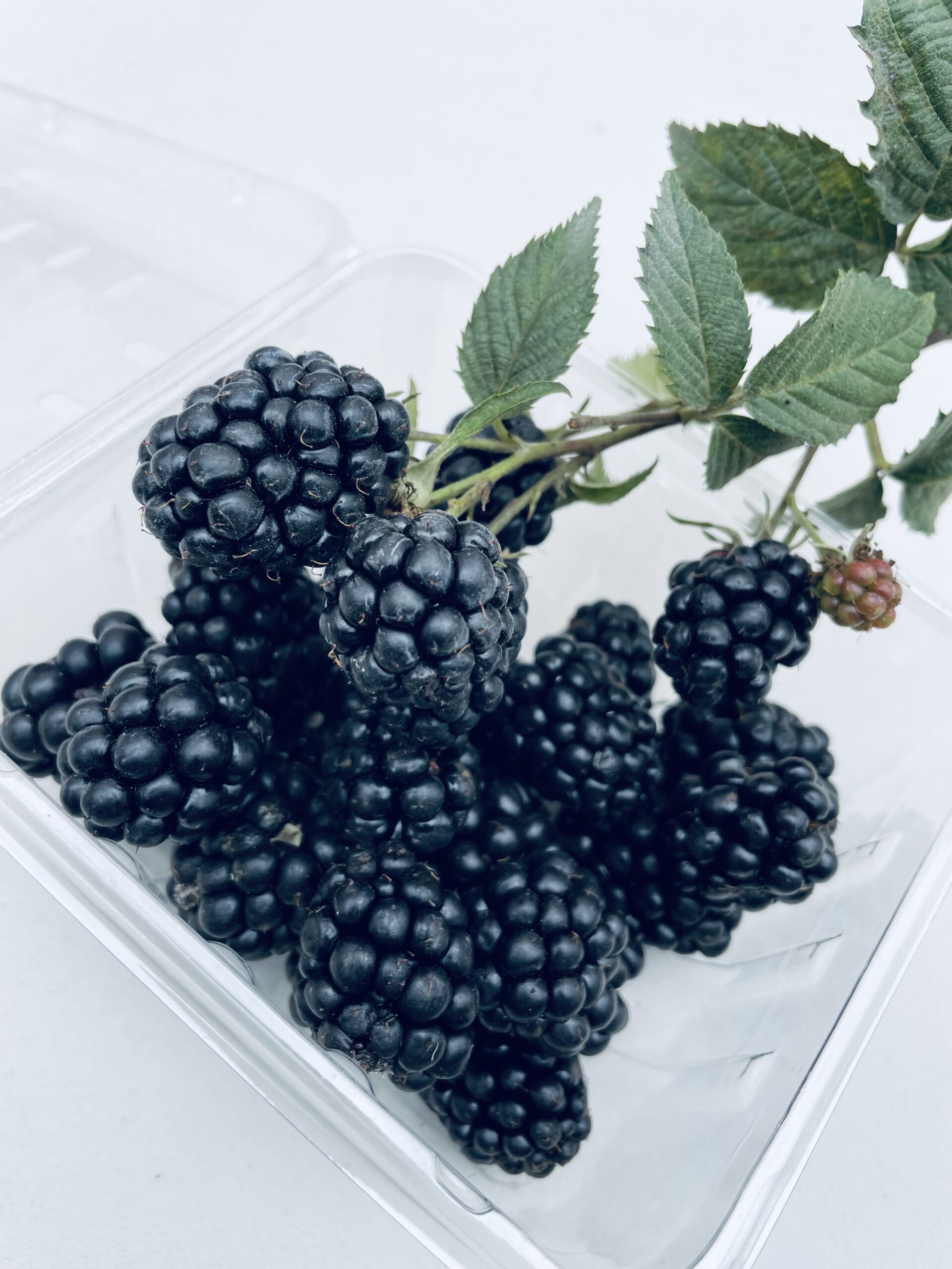 【呼密黑莓釀造醋】讓每一天,都有一點莓好。:圖片 5